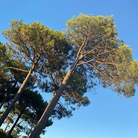 Les Vagues Restaurant Hotel Biscarrosse-Plage