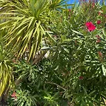 Les Vagues Logis Hotel Biscarrosse-Plage