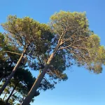 Les Vagues Logis Hotel 호텔 비스카로스 플라주